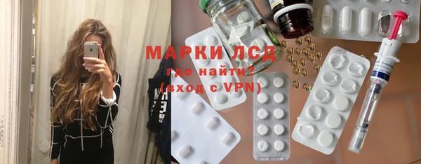 гашик Алексин