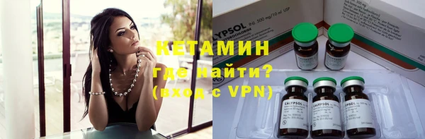 гашик Алексин