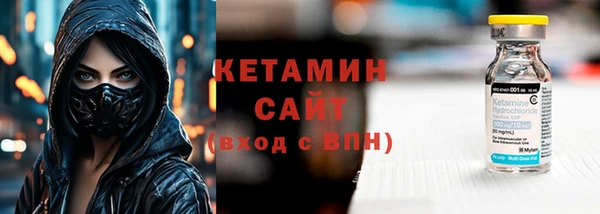гашик Алексин
