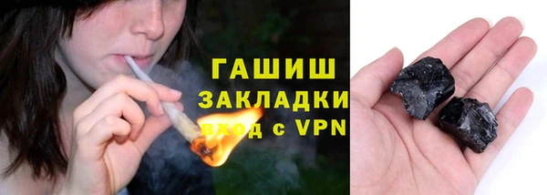 гашик Алексин