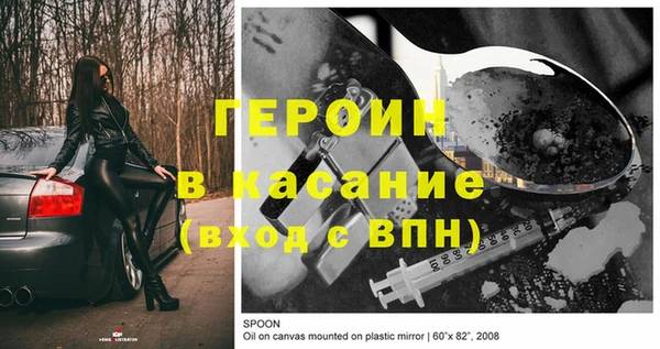 гашик Алексин
