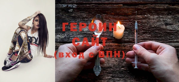 гашик Алексин