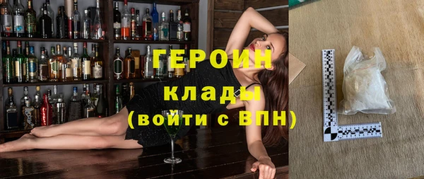 гашик Алексин