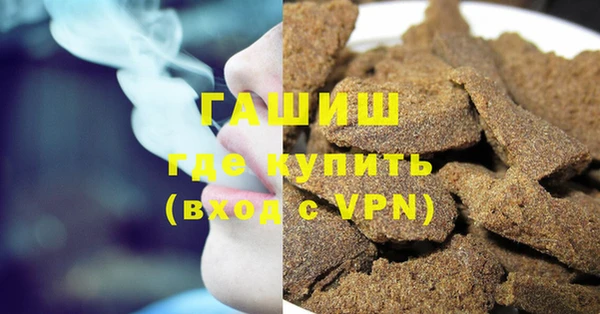 гашик Алексин