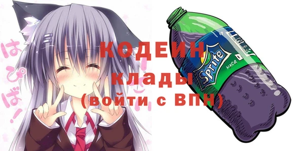 гашик Алексин