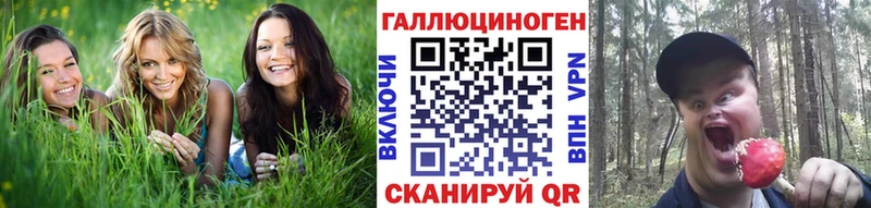 Псилоцибиновые грибы мухоморы  Почеп 